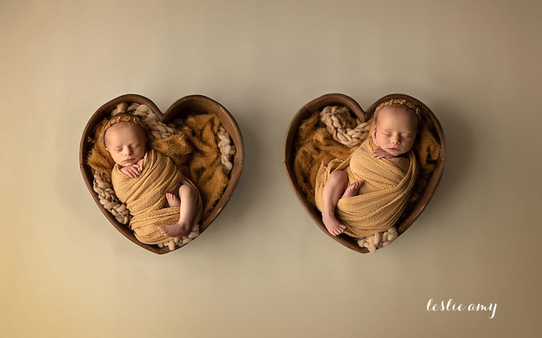 Twin Girls | Conway Newborn Photographer